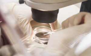 A Comprehensive Guide to Modern IVF Technology