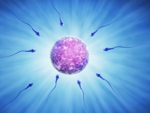 March Of Dimes Ovulation Chart