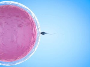 Building Your Family Through Donor eggs, Sperm or Embryos